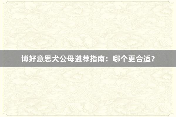 博好意思犬公母遴荐指南：哪个更合适？