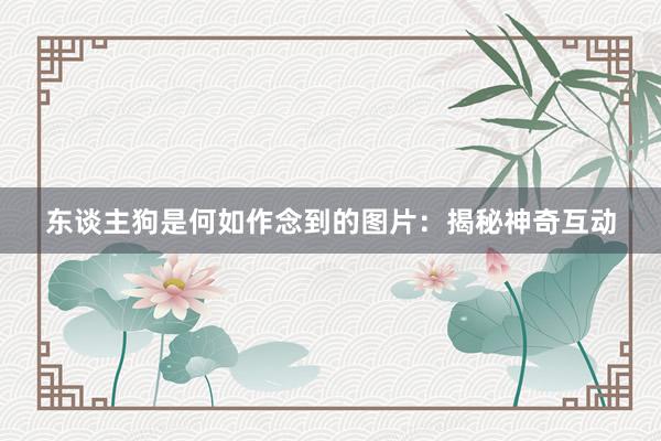 东谈主狗是何如作念到的图片：揭秘神奇互动